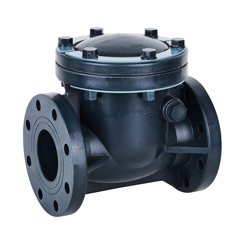 FRPP H44F-10S 旋启式止回阀 DN15-300 1/2